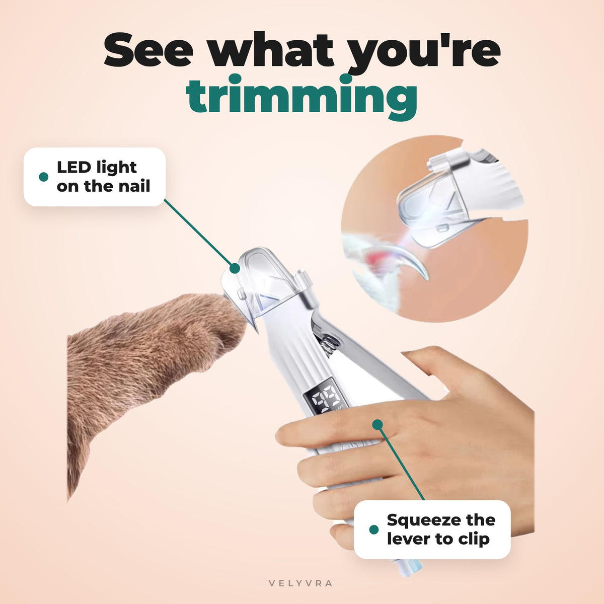 Electric Pet Nail Trimmer & Grinder